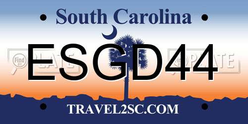 ESGD44 South Carolina License Plate