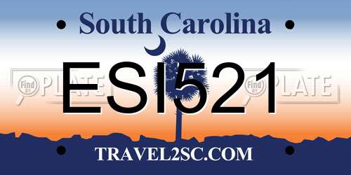 ESI521 South Carolina License Plate