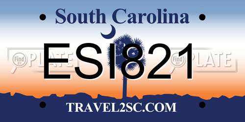 ESI821 South Carolina License Plate
