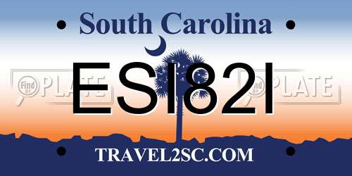 ESI82I South Carolina License Plate