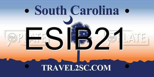 ESIB21 South Carolina License Plate