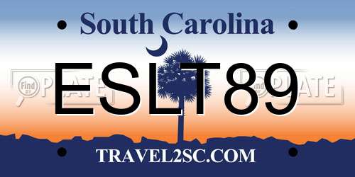 ESLT89 South Carolina License Plate