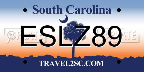 ESLZ89 South Carolina License Plate