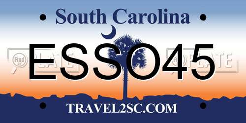 ESSO45 South Carolina License Plate