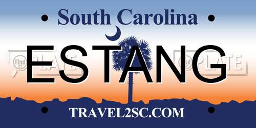 ESTANG South Carolina License Plate