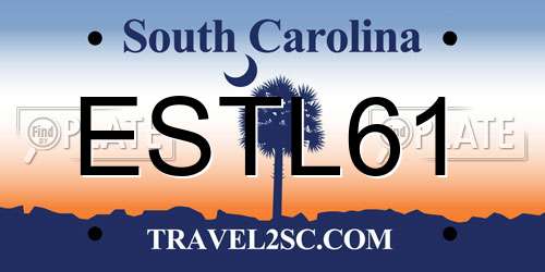 ESTL61 South Carolina License Plate