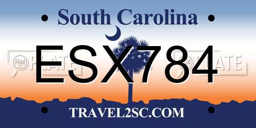 ESX784 South Carolina License Plate