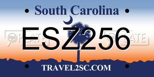 ESZ256 South Carolina License Plate