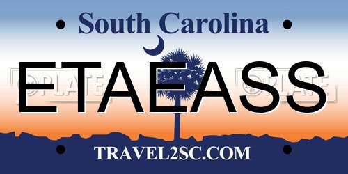 ETAEASS South Carolina License Plate