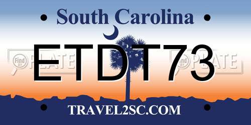 ETDT73 South Carolina License Plate