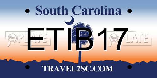 ETIB17 South Carolina License Plate