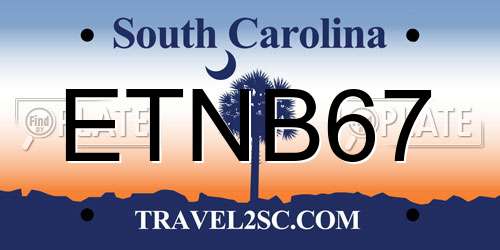 ETNB67 South Carolina License Plate