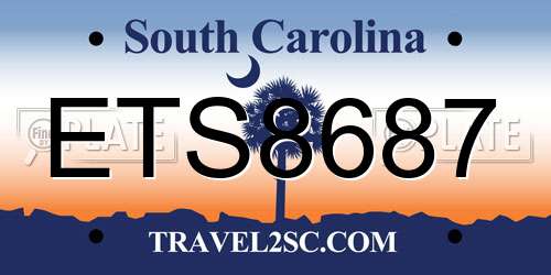 ETS8687 South Carolina License Plate
