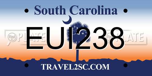 EUI238 South Carolina License Plate
