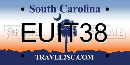 EUIT38 South Carolina License Plate