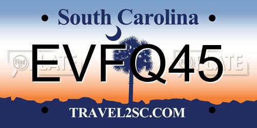 EVFQ45 South Carolina License Plate