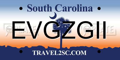 EVGZGII South Carolina License Plate