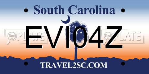 EVI04Z South Carolina License Plate