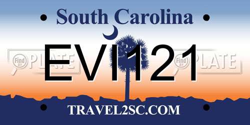 EVI121 South Carolina License Plate