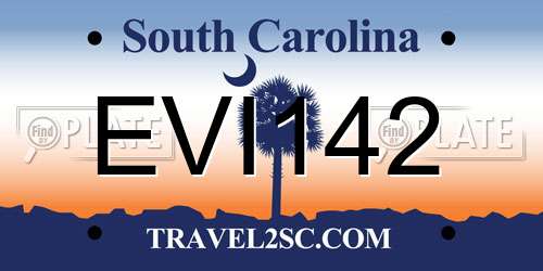 EVI142 South Carolina License Plate