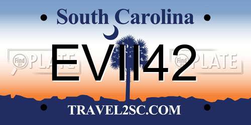 EVII42 South Carolina License Plate