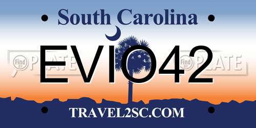 EVIO42 South Carolina License Plate