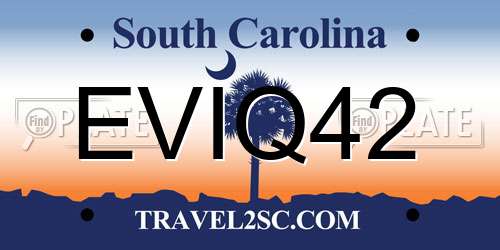 EVIQ42 South Carolina License Plate