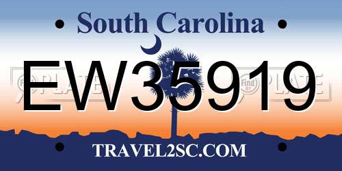 EW35919 South Carolina License Plate