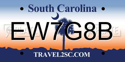 EW7G8B South Carolina License Plate