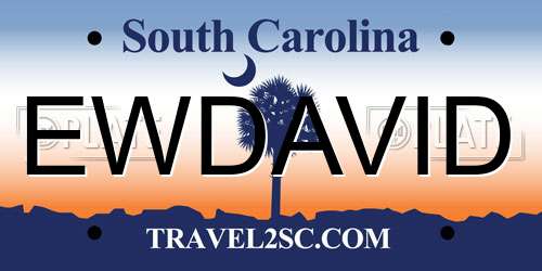 EWDAVID South Carolina License Plate