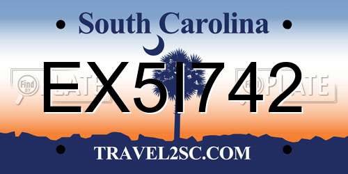 EX5I742 South Carolina License Plate