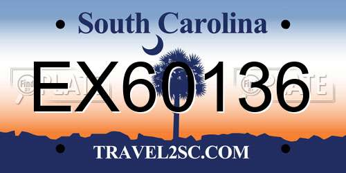 EX60136 South Carolina License Plate