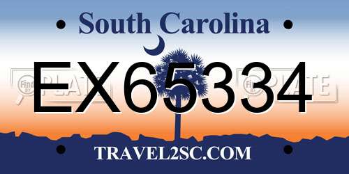 EX65334 South Carolina License Plate