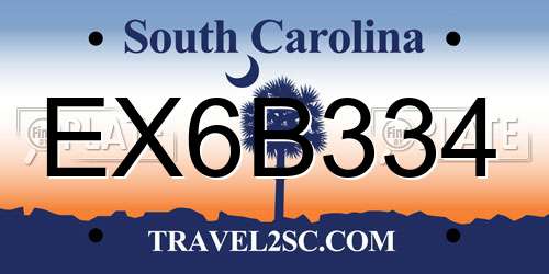 EX6B334 South Carolina License Plate