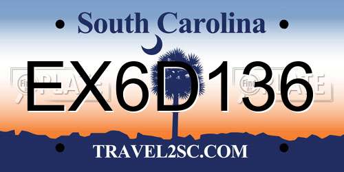EX6D136 South Carolina License Plate