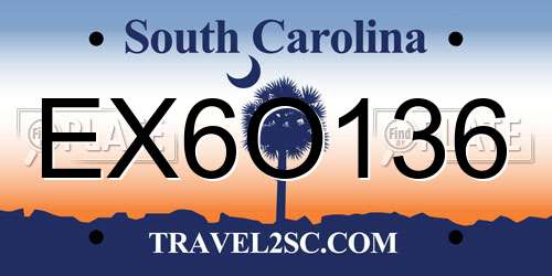 EX6O136 South Carolina License Plate