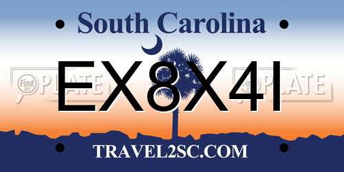 EX8X4I South Carolina License Plate