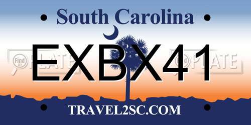 EXBX41 South Carolina License Plate