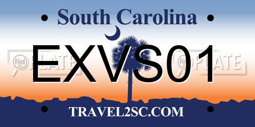 EXVS01 South Carolina License Plate