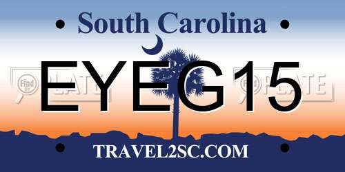 EYEG15 South Carolina License Plate