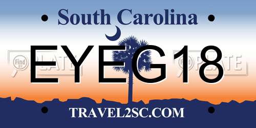 EYEG18 South Carolina License Plate