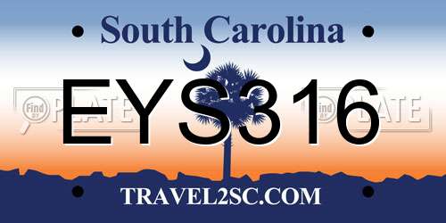 EYS316 South Carolina License Plate