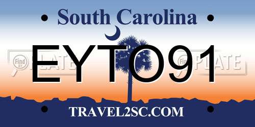 EYTO91 South Carolina License Plate