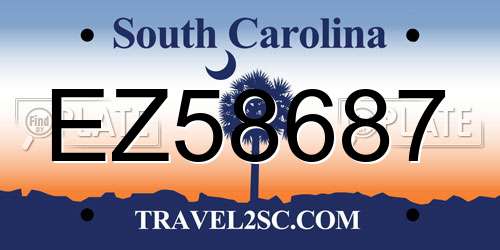 EZ58687 South Carolina License Plate