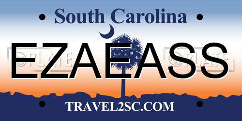 EZAEASS South Carolina License Plate
