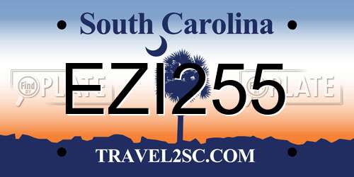 EZI255 South Carolina License Plate