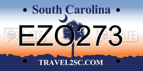 EZO273 South Carolina License Plate