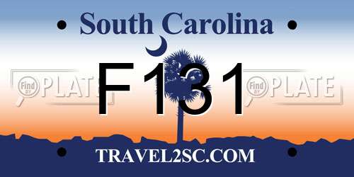 F131 South Carolina License Plate