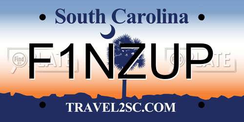F1NZUP South Carolina License Plate