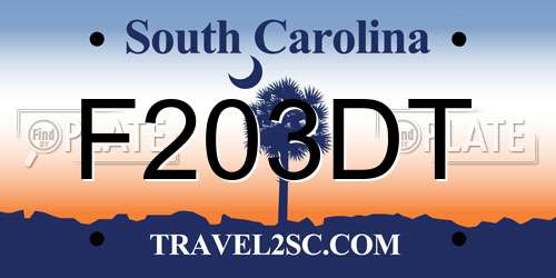 F203DT South Carolina License Plate